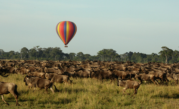 balloon-safari